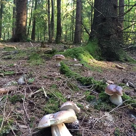 Casa Meloni Apartamento Bad Sachsa